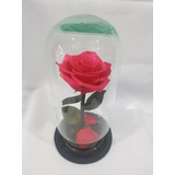 Rosa Eterna Colombiana En Capelo De Cristal