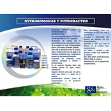 Bacterias  Nitrificantes 250cc Para Acuarios
