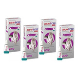 Kit 4 Bravecto Plus Para Gatos De 6,25 A 12,5 Kg Antipulgas