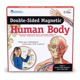 Cuerpo Humano Magnético Didactico Learning Resources