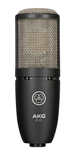 Micrófono Condensador De Diafragma Grande, Akg P220