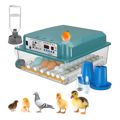 Incubadora para 36 huevos con control de temperatura y giro automático, con cuatro modos de incubación adecuados para la eclosión de huevos de gallina, pato y ganso. | Envío gratis