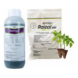 Raizal 400 Enraizador 1kg + Bayfolan Forte 1 Litro Pack