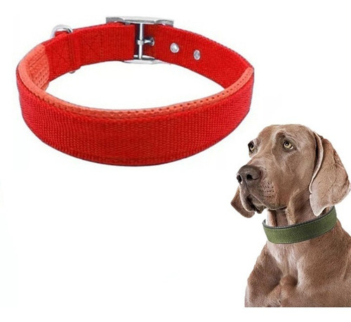 Collar Perros Grandes Reforzado Interior Soft