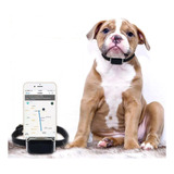 Collar Mascotas Gps Mini Tracker Rastreador Localizador