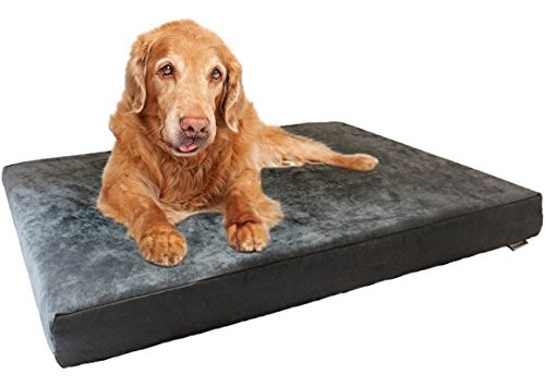 Cama Ortopédica Para Perros Con Memory Foam Y Funda Lavable