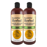 Shampoo Secreto Herbal Cola De Caballo Anticaída 2pz Envío G