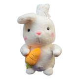 Teddy Rabbit With Star Or Carrot Decoration Toy (coelho De