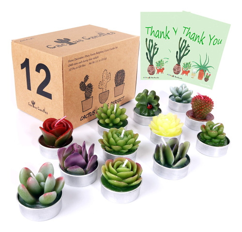 Aixiang 12 Velas De Cactus Para Suculentas, Regalos De Fiest