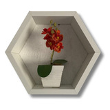 Nicho Colméia Hexagonal 26cm X 29cm X 9cm Mdf Branco