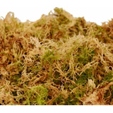 Musgo Sphagnum Hidratado Sustrato Para Orquideas 500gr