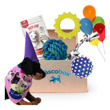 Mascobox Cumpleaños Con Juguetes Cotillon Premium Perros