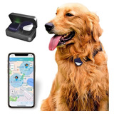 Petfon Rastreador Gps Para Mascotas, Sin Tarifa Mensual, Dis