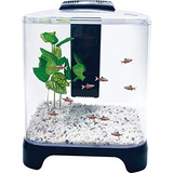 Penn Plax Betta Fish Tank Kit De Acuario Con Luz Led Y Filtr