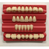 Dientes Acrilico 4 Taquillas Tableta Acritone Odonto Dental