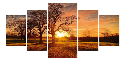 Cuadros Tripticos Modernos 110x55 Arbol Amanecer  