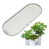 Lámpara Colgante Grow Light Para Plantas De Interior, 10 W,