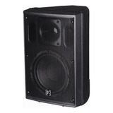 Cabina 10 Beta 3 N10 250 W Rms Parlante Pasivo 10