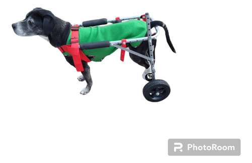 Silla De Rueda Carrito Ortopédico P/animales De 13 A 21 Kg