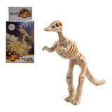 Set De Jurassic World Dinosaurio Excava Y Descubre Tu Fosil