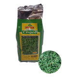 Semillas De Cesped Guasch Bermuda Grass (chipica) 1kg