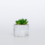 Mini Vaso Cimento Com Planta