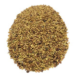 Alfafa Crioula / Medicago Sativa - 100gr De Sementes