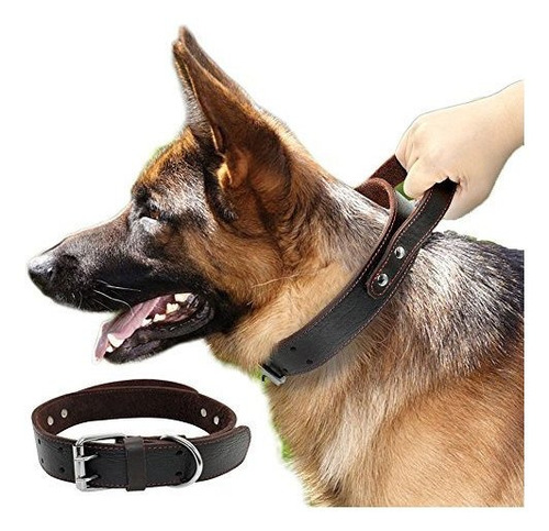 Pet Artista Cuero Auténtico Collar De Perro Para Caminar Y C