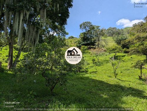 Lote Ideal Para Casa Urbana Con Red De Gas Y Alcantarillado. Vista A Copacabana. Lote Cerca Al Parque De Copacabana. Lote Para Cabañas. Lote Con Vista Cerca A Medellín - Imagen 2