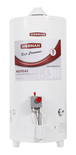 Termotanque Sherman Tpg080 A Gas Pie Superior