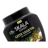 Skala Leite Vegetal Máscara Vegana Hidratante Pelo Seco 1kg
