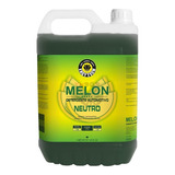 Shampoo 1:400 Melon Concentrado 5l Neutro Easytech Lava Car