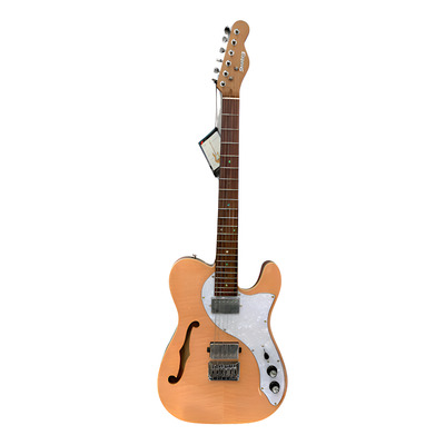ギター Fender Telecaster Thinline FENDER USA 1972 Telecaster Thinline (Natural)|ドルフィンギターズ