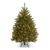 National Tree Company Dunhill - Arbol De Abeto Con 450 Luces