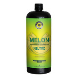 Shampoo 1:400 Melon Concentrado 1,5l Neutro Easytech Automot