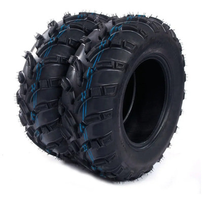 2 Llantas 25x10-12 Epsilon P373 Cuatrimoto Atv Traser Rin 12 | Envío gratis