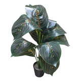 Planta Artificial Decorativa Aristada Verde Oscuro De 35cm