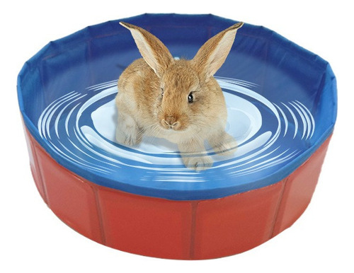 Dobrável Pet Banho Piscina Dobrável Hamster Coelho Bebê