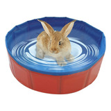 Dobrável Pet Banho Piscina Dobrável Hamster Coelho Bebê