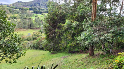 Venta De Terreno Con 3 Matriculas Ubicado En Rionegro El Higuerón - Imagen 3