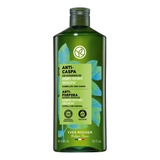 Shampoo Anticaspa - Controla Y Elimina La Caspa Yves Rocher