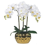 W&w Arreglo De Plantas Y Flores De Orquídeas Artificiales En