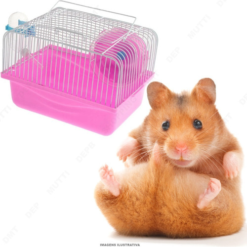 Gaiola Hamster Ratinho Ramister Super Promoção!