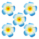  Loja Ewanda 100 Peças De Diâmetro 3,2 Polegadas Plumeria Ar