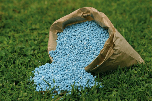 Fertilizante Nitrofoska Azul Cesped Jardin Plantas 5 Kg