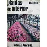 Plantas De Interior Tiscornia 76 Generos De Plantas Para Int