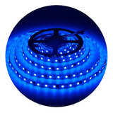 Tira Led 2835 Rollo 5 Metros Colores 12v Exterior Siliconada Color De La Luz Azul