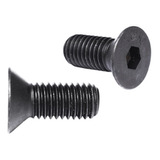 Tornillo Allen Cabeza Plana 1/4 X 2 // 30 Piezas