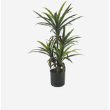 Planta Artificial Para Decoración De Interiores Yucca 85 Cms