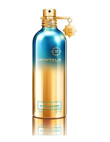 Montale Aoud Lagoon Edp 100ml - mL a $6500